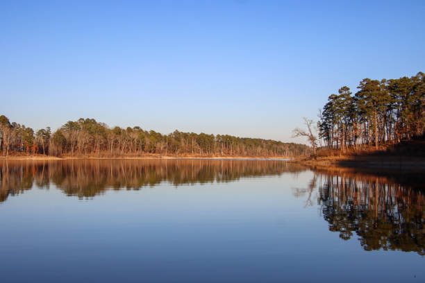 istock Reflections of trees at twilight at Beavers Bend Lake, Oklahoma 1294288489