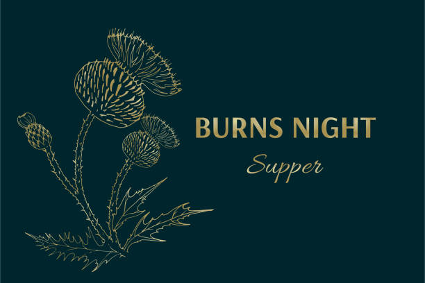 ilustraciones, imágenes clip art, dibujos animados e iconos de stock de se quema la tarjeta de la cena nocturna. burns night - fiesta nacional en escocia. plantilla para invitación, póster, folleto, banner, etc. - scottish music