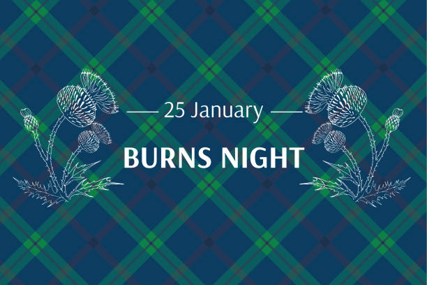 夜の夕食カードを燃やす。タータンの背景にアザニ。バーンズナイト - スコットランドの祝日。招待、ポスター、チラシ、バナーなどのテンプレート - 燃える点のイラスト素材／クリップアート素材／マンガ素材／アイコン素材