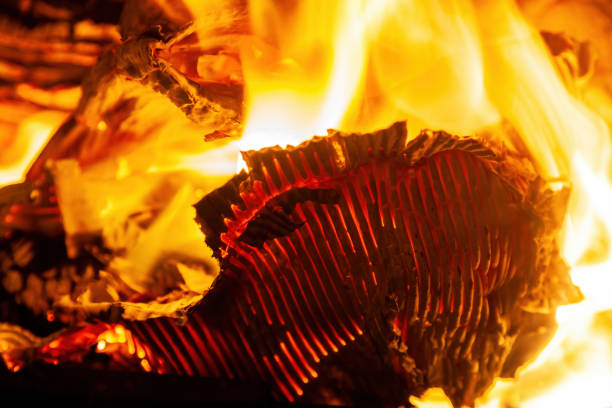 Burning corrugated cardboard and firewood in the fireplace close-up