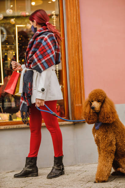 istock Woman in a protective face mask window shopping with her dog 1294305977