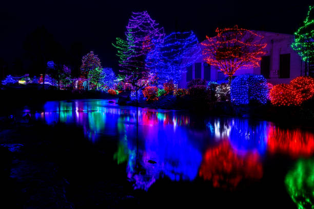 istock Caldwell Idaho Christmas light display reflects in a local stream 1294307656