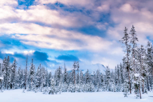 istock Distant mountain and winter forest in the morning 1294308239