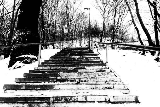 istock Black and White Trees Branches and Stairs Covered in Snow 1294308557