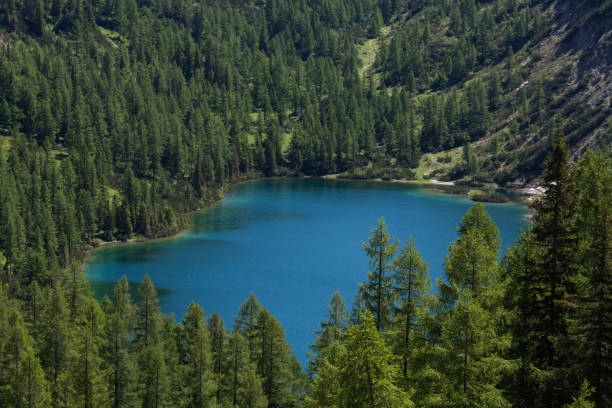 istock beautiful blue green mountain lake between pinetrees while hiking 1294308601