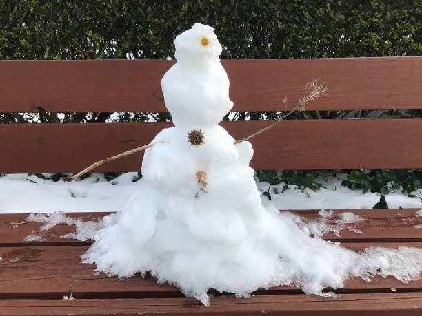 istock Creepy Mini Snowman on Bench with Flower 1294308642