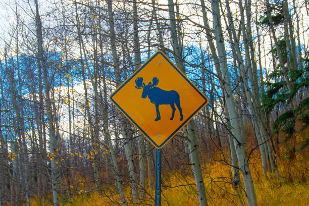 ムース クロッシング サイン ニア アスペン コロラド - moose crossing sign ストックフォトと画像