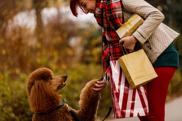 istock Cheerful woman shaking hands with her adorable poodle 1294311580