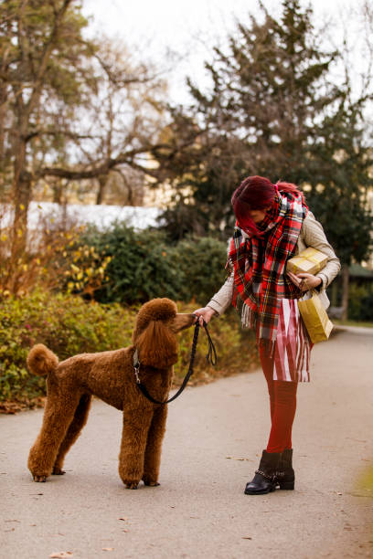 istock Petting her dog during a walk 1294314922