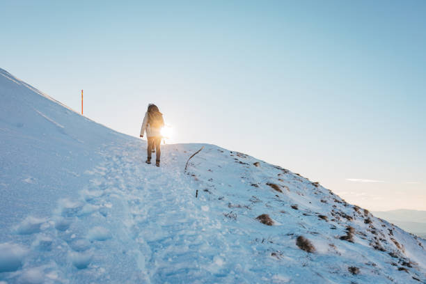 istock Few more steps and the top of the mountain is conquered! 1294314970