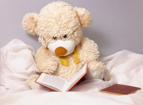 A cute beige teddy bear for children to play with glasses is reading a book