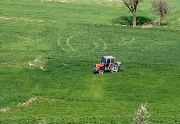 istock Scale farming with tractor and plow in field 1294315051