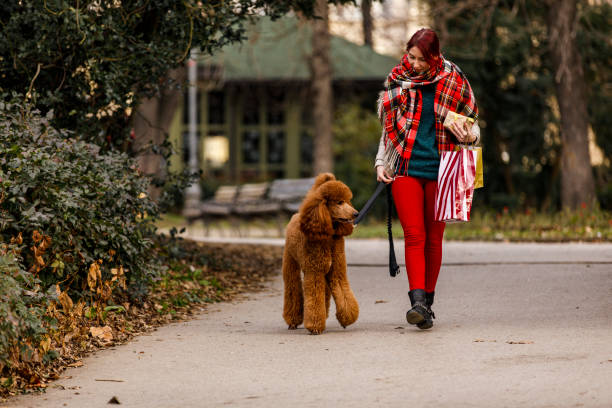 istock Enjoying a relaxing winter walk at the park 1294315906