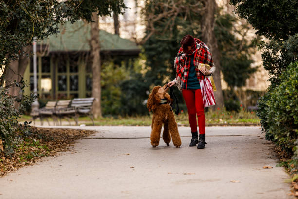 istock Young woman feeding snacks to her dog for good behavior during a walk 1294315963