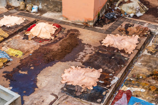Fes, Morocco - March 31, 2023: Scene of the leather tannery, with workers and stone vats filled with various colors. Fes, Morocco