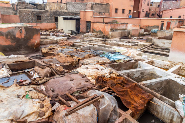 A craftsman works within a traditional tannery in Fes, Morocco, soaking leather hides in shallow vats. The vibrant colors and traditional methods reflect the enduring cultural heritage and artisan craftsmanship of this region.