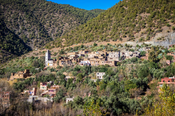 istock Oualmas, ourika valley 1294318905