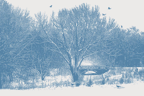 verschneite landschaft mit bach und brücke - winter stream river snowing stock-grafiken, -clipart, -cartoons und -symbole