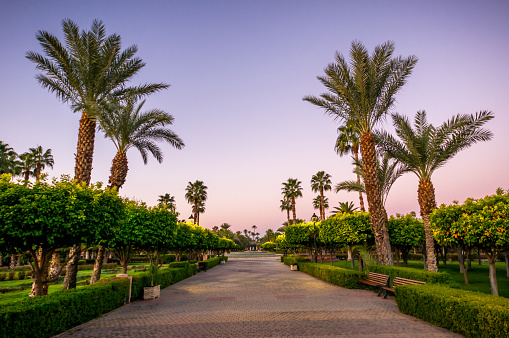 Lalla Hasna Park in Marrakech at sunrise
