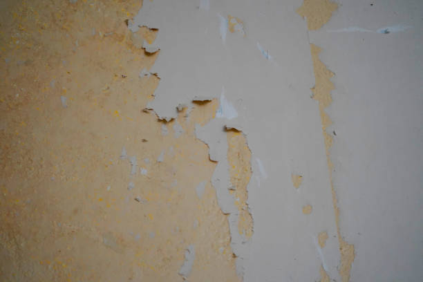 istock Old paint and wallpaper on a wall 1294322185