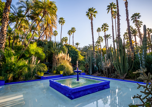 Marrakech, Morocco - January 21, 2018: Botanical garden Jardin Majorelle in Marrakesh