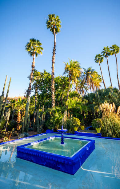 モロッコ マラケシュの植物園ジャルダンマジョレル - morocco majorelle gardens formal garden islam ストックフォトと画像