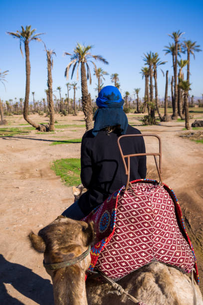 istock Walks on a camel at palm grove in Marrakesh 1294324809