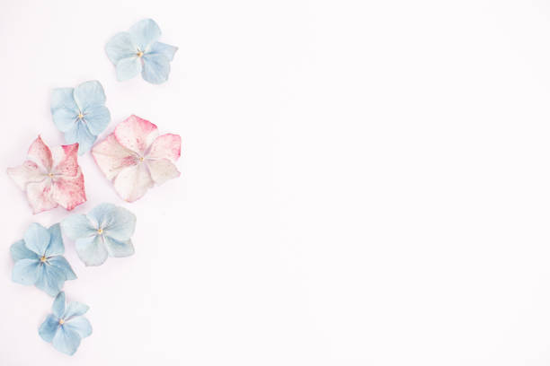 istock floral invitation or letter 1294325397