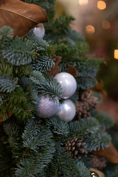 istock Christmas tree branch decorated with silver balls and cones 1294327075