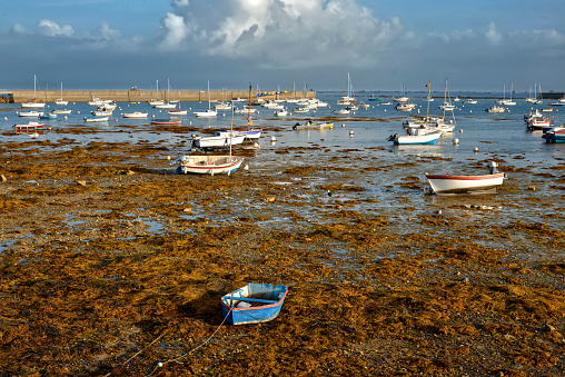 Marina at low tide with a lot of wrack in Penmarch, a commune in the Finistère department of Brittany in north-western France