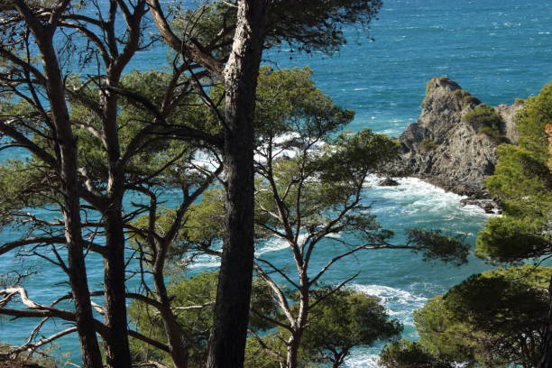 French Mediterranean coast stock photo