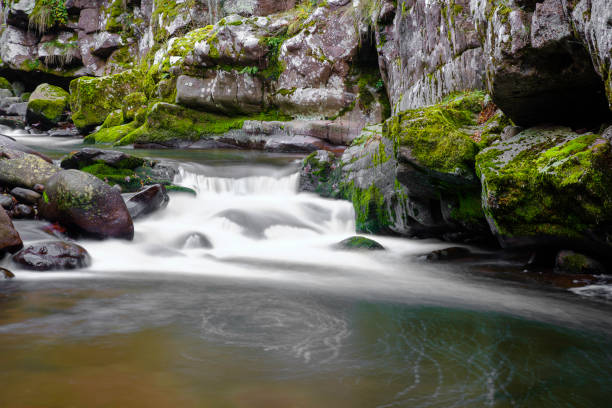 fermez-vous vers le haut d’une petite cascade sur une rivière de montagne coulant par le canyon étroit et rouge de roche avec des roches couvertes par la mousse verte et colorée d’automne - waterfall rock mountain bright photos et images de collection