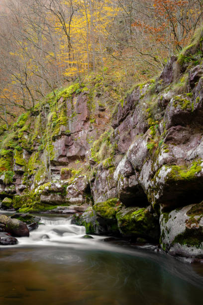 petite cascade sur une rivière de montagne coulant par le canyon étroit et rouge de roche avec des roches couvertes par la mousse verte et les falaises avec des arbres colorés d’automne - waterfall rock mountain bright photos et images de collection