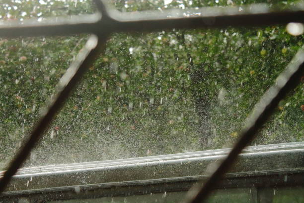 istock raindrops fall on the roof of the car 1294331792