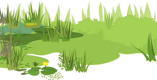 Abstract marsh landscape with green plants Abstract marsh landscape with green plants marsh illustrations stock illustrations