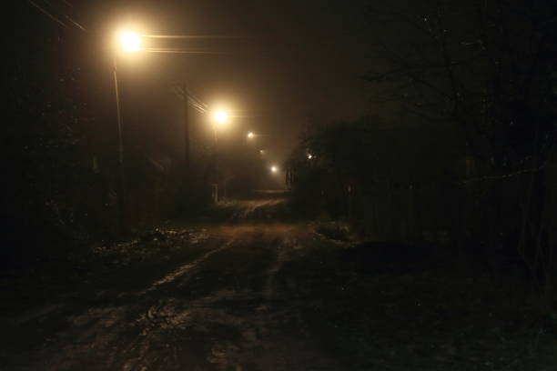 droga we wsi we mgle wieczorem w świetle lamp - street light fog morning country road zdjęcia i obrazy z banku zdjęć