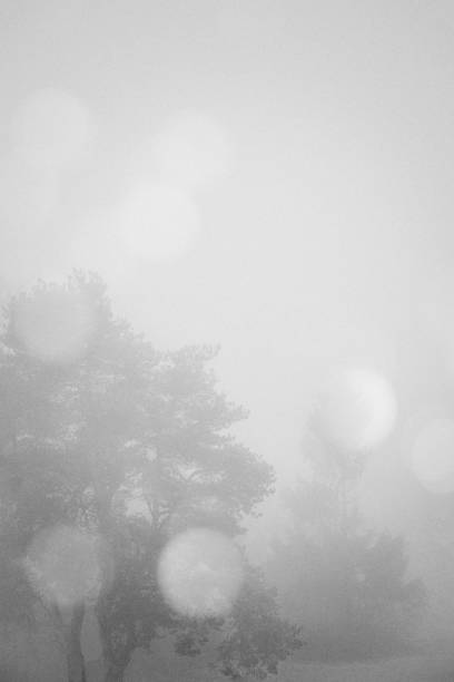 istock Window, fog and coffee morning. 1294335593