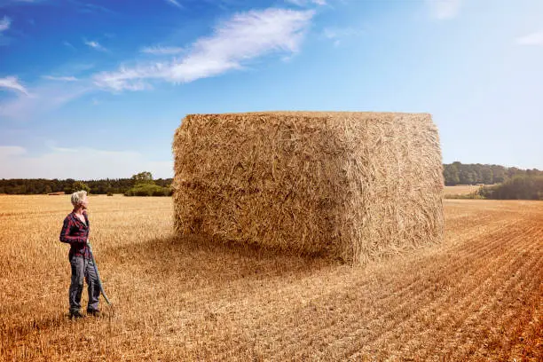 A man has done a great job. The man has collected a hay / straw for a huge straw bale