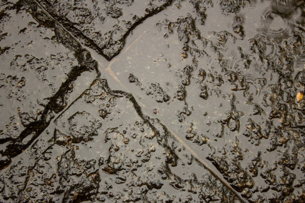 istock Wet stone tiles during a rainy day 1294343025