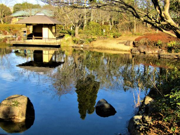 istock Japan. January. Pond in the Park. Reflections. 1294343865