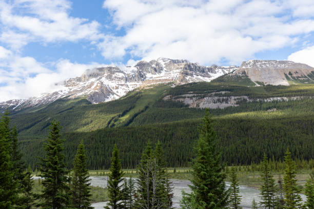 istock Saskatchewan River Crossing during Summer, Banff, Canada 1294348390