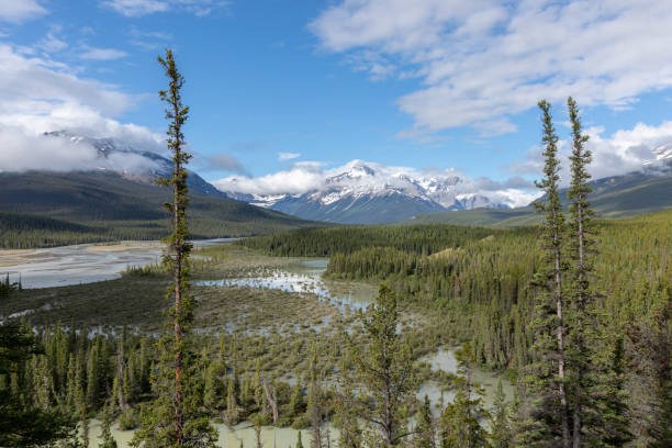 Saskatchewan River Crossing during Summer. Howse Pass Viewpoint,  Banff, Canada