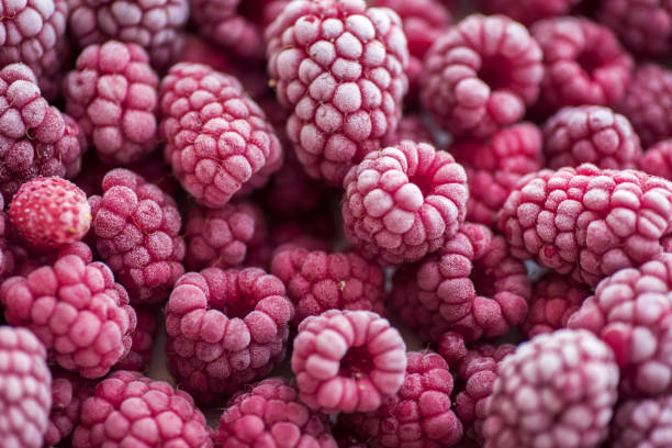 istock Ripe frozen raspberries close-up macro photography, selective focus, fruit background 1294349012