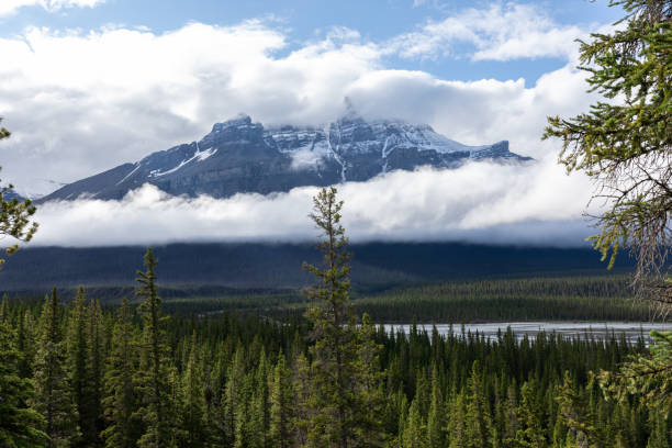 istock Saskatchewan River Crossing during Summer, Banff, Canada 1294349079