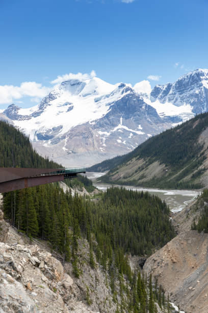 skywalk de champ de glace de columbia pendant l’été dans le parc national de jasper - vertical scenics ice canada photos et images de collection