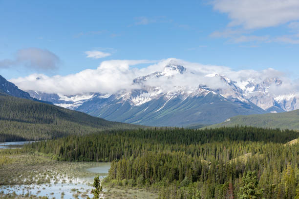 Saskatchewan River Crossing during Summer. Howse Pass Viewpoint,  Banff, Canada