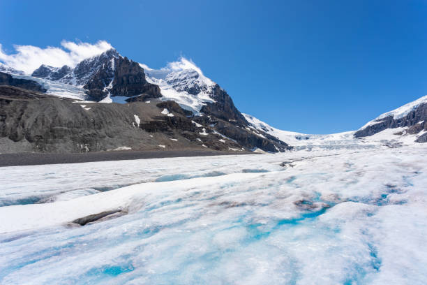 istock Columbia Icefield , Jasper National Park, Canada 1294349845