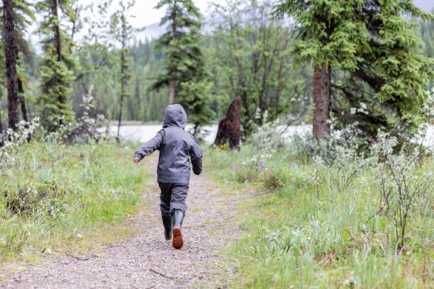 istock Young Boy Hiking in Jasper National Park, Canada 1294350140