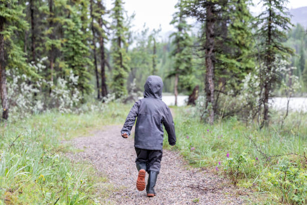 istock Young Boy Hiking in Jasper National Park, Canada 1294350170