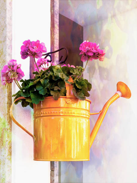 Pink geraniums in an orange watering can as decoration on a facade